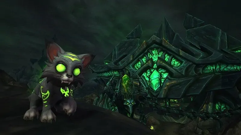 Cuki macska a World of Warcraft idei karitatív kisállata