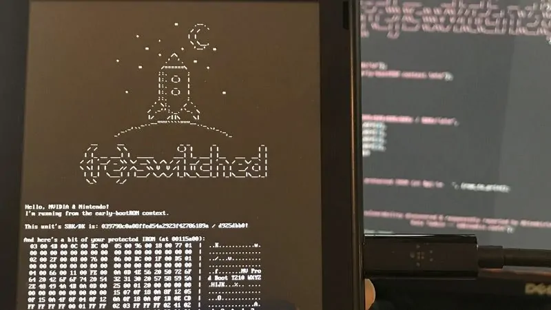 nintendo switch hack